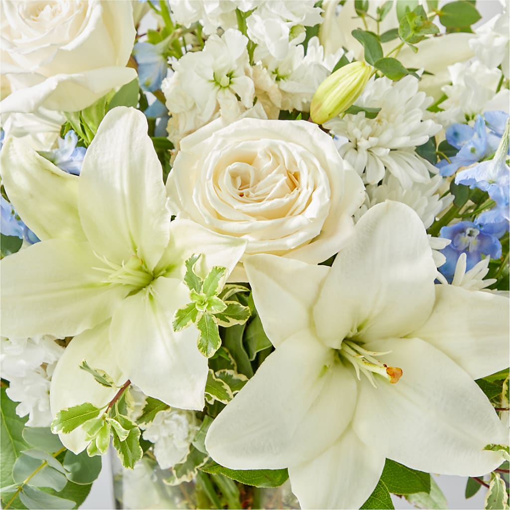 Peace of Mind Bouquet –  Genoveva Rodriguez Flower Shop, San Benito TX