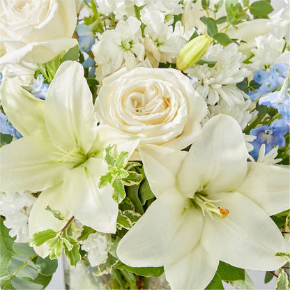 Peace of Mind Bouquet –  Genoveva Rodriguez Flower Shop, San Benito TX