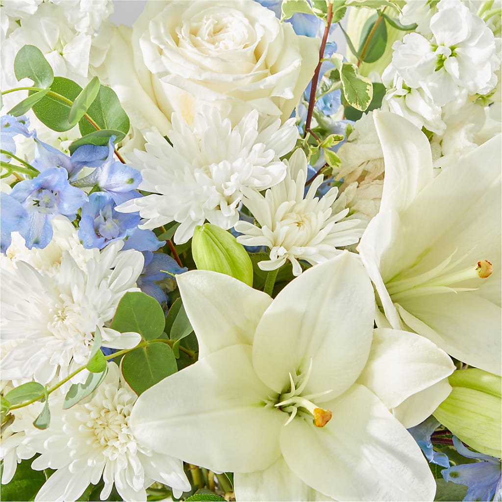 Peace of Mind Bouquet –  Genoveva Rodriguez Flower Shop, San Benito TX