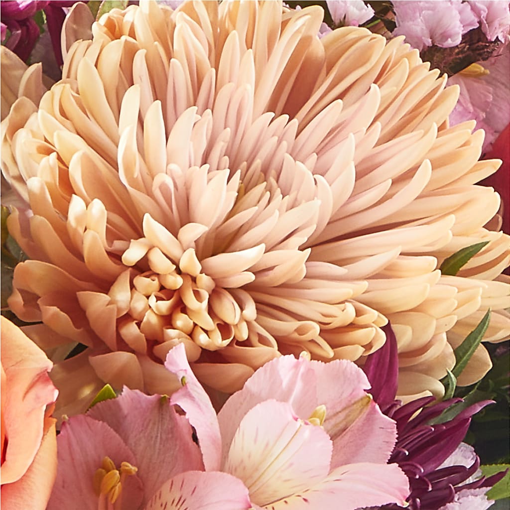 Berry Cobbler Bouquet –  Genoveva Rodriguez Flower Shop, San Benito TX