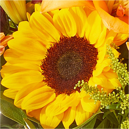 Seasons Change Bouquet –  Genoveva Rodriguez Flower Shop, San Benito TX