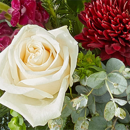 Cranberry Fizz Bouquet –  Genoveva Rodriguez Flower Shop, San Benito TX