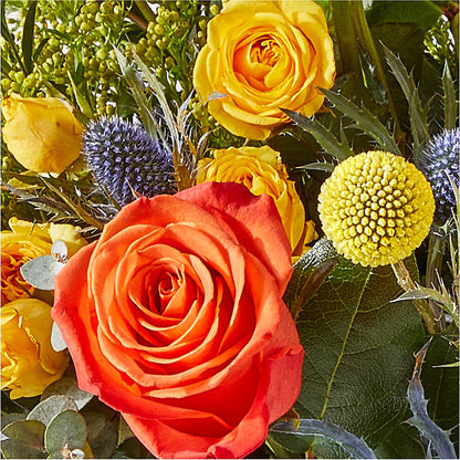 Disco Bouquet –  Genoveva Rodriguez Flower Shop, San Benito TX