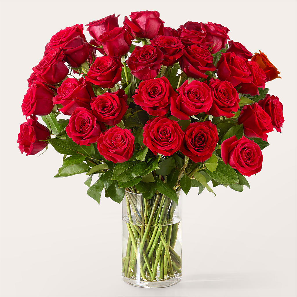 The One Red Rose Bouquet –  Genoveva Rodriguez Flower Shop, San Benito TX