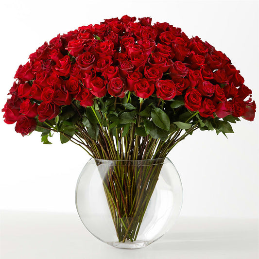 The Idealist –  Genoveva Rodriguez Flower Shop, San Benito TX
