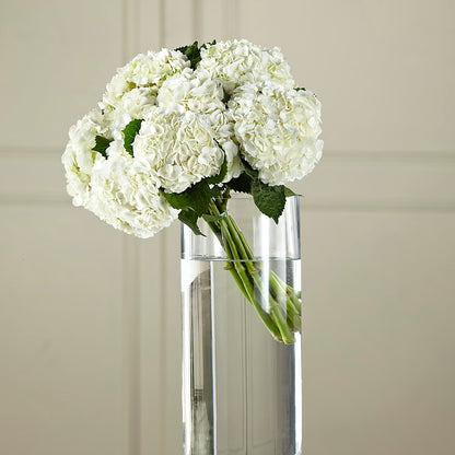 White Hydrangea Hand-Tied Bouquet –  Genoveva Rodriguez Flower Shop, San Benito TX