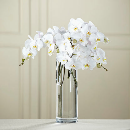 White Phalaenopsis Bouquet –  Genoveva Rodriguez Flower Shop, San Benito TX