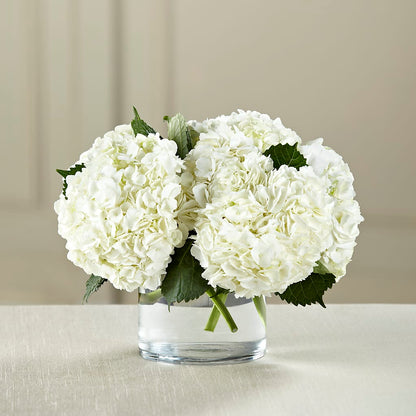 White Hydrangea Bouquet –  Genoveva Rodriguez Flower Shop, San Benito TX