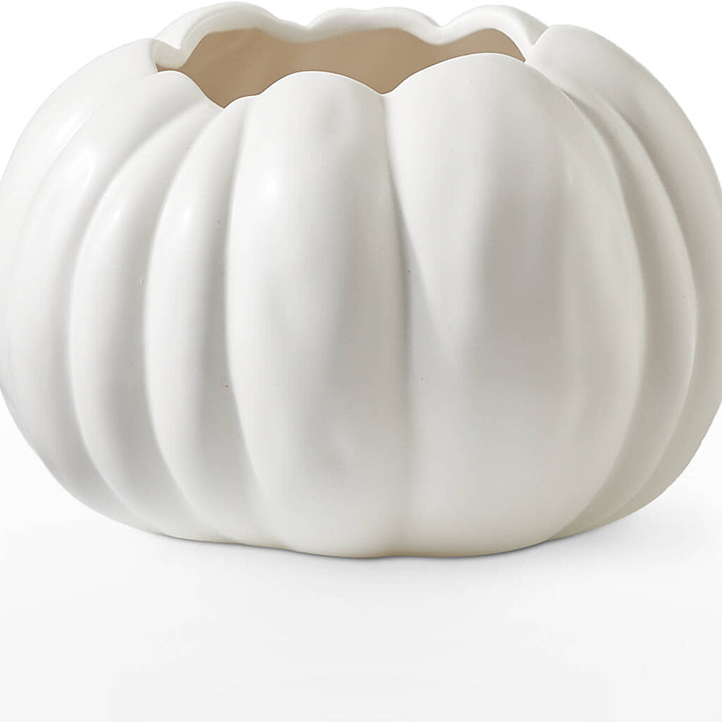 Pumpkin to Talk About Bouquet –  Genoveva Rodriguez Flower Shop, San Benito TX